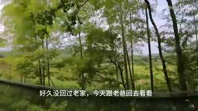 电子png游戏shanji发布vlog：情绪只能自己消化 打职业让家人过上更好的生活